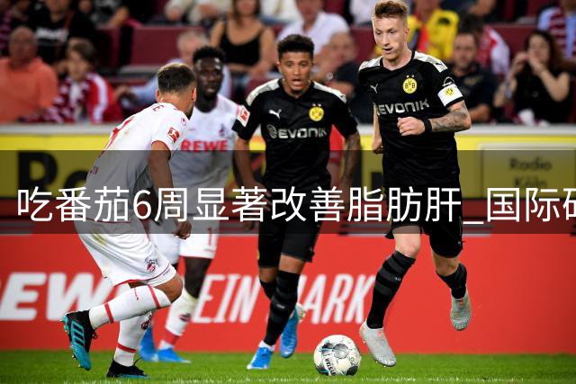 吃番茄6周显著改善脂肪肝 国际研究揭示惊人功效