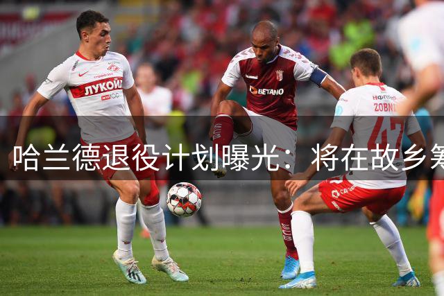 哈兰德退役计划曝光：将在故乡筹建小型农场